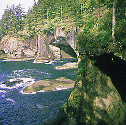 Sea caves at Cape Flattery