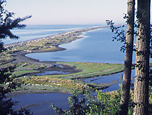 Dungeness Spit